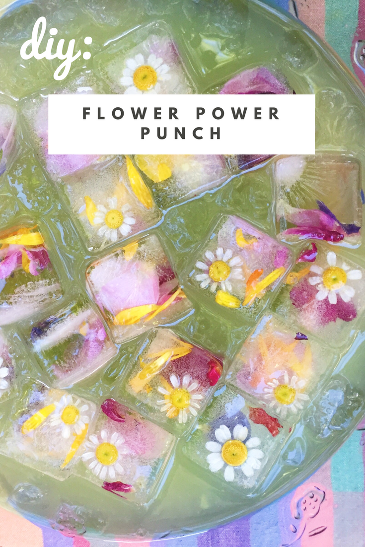 DIY flower project: edible flower ice cubes