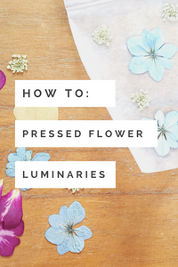 flower DIY project: pressed flower luminaries