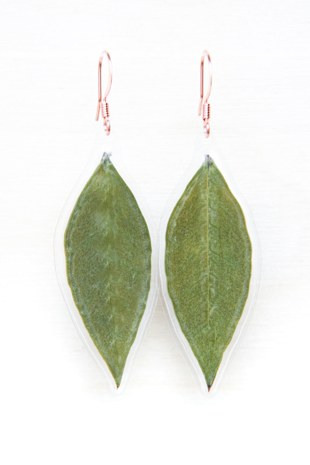 Green Myrtle Pressed Leaf Drop Earrings