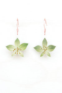 Green Bupleurum Flower Drop Earrings